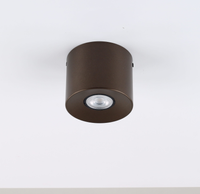 Lampa sufitowa ORION S BROWN 1 PŁ