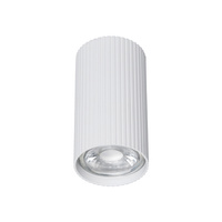 Lampa punktowa TUNE WHITE S